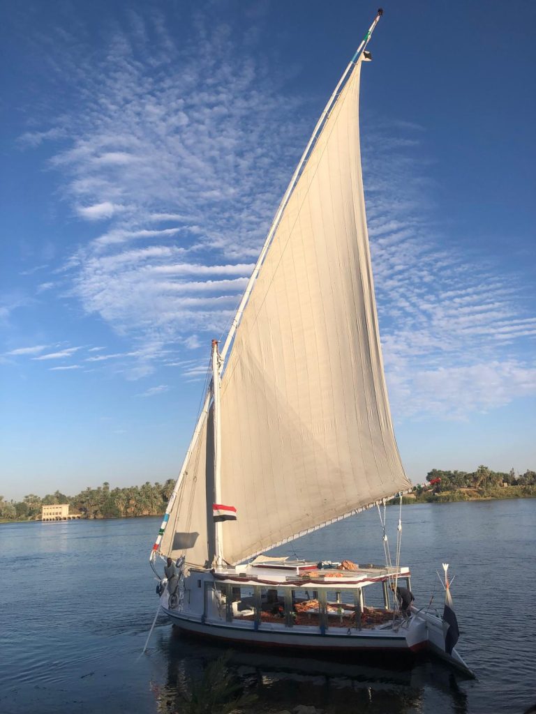 Felucca Maitea sailing on the Nile with full sail and palm-lined riverbanks